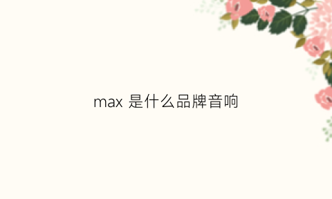 max 是什么品牌音响